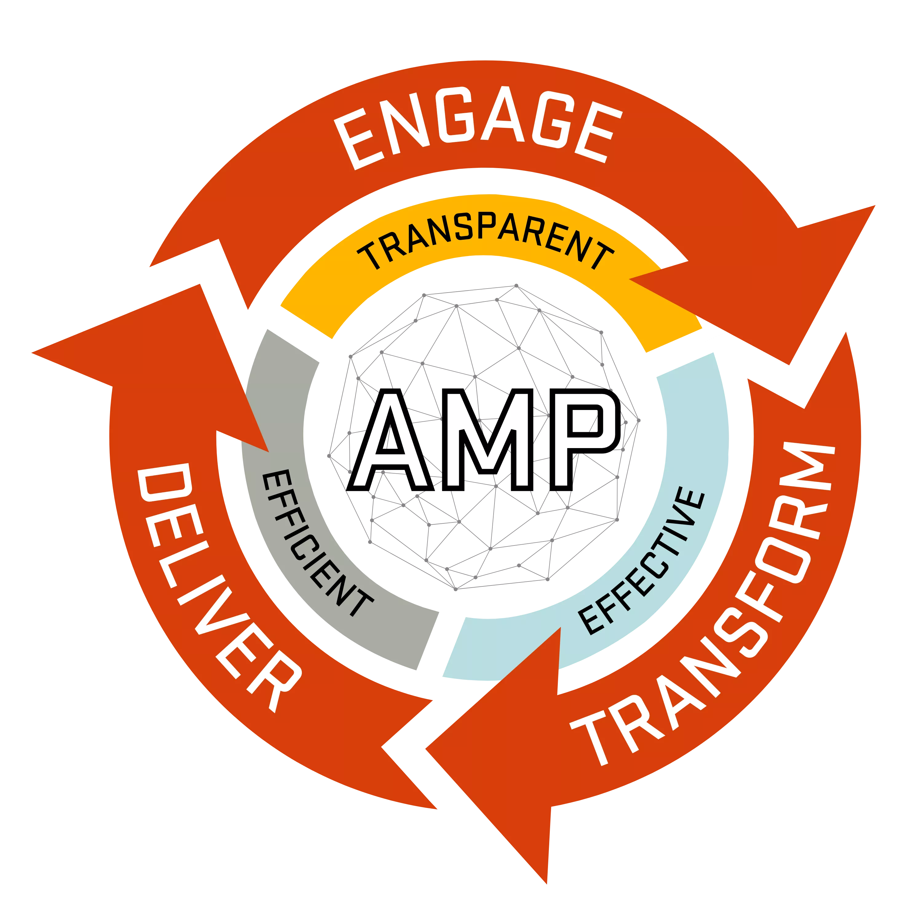 AMP Guiding and Design Principles